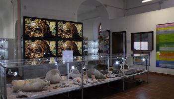 Museo Archeologico - Dorgali